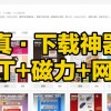 迅雷种子可以用其他软件下载吗