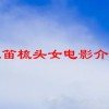 姚笛梳头女电影介绍(阿珍和她的女主人电视剧分集介绍)