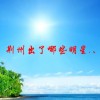 荆州出了哪些明星.、(01/19)