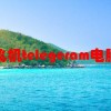 纸飞机telegeram电脑版(怎么在网上简单的制作电报)