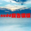 nudd报告模板(02/26更新)