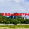 谁看了不要回头在哪里下的啊？知道的麻烦告诉一下啊。