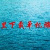 哪里下载单机游戏(02/01更新)