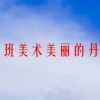 幼儿园大班美术美丽的丹顶鹤说课稿