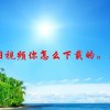 嗨学网视频 你怎么下载的。看见你说了。麻烦你告诉我。谢谢