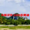 小熊汉化300款黄油(01/29更新)