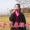 有缘千里能相会剧情(有缘千里来相会，无缘对面不相逢。故事出在..)