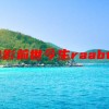 印度电影前世今生raabta介绍(前世今生电视剧演员表)